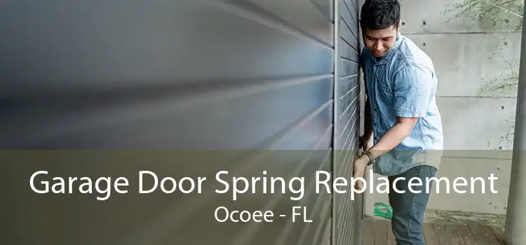 Garage Door Spring Replacement Ocoee - FL
