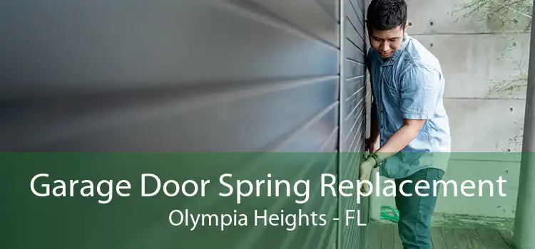 Garage Door Spring Replacement Olympia Heights - FL