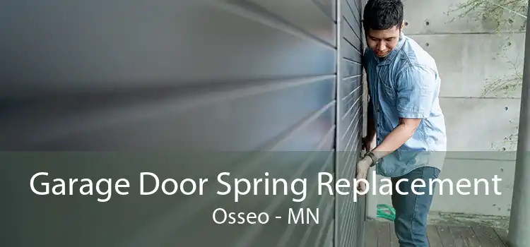 Garage Door Spring Replacement Osseo - MN