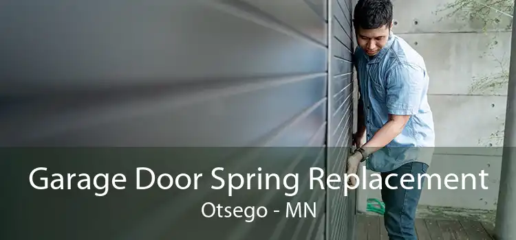 Garage Door Spring Replacement Otsego - MN
