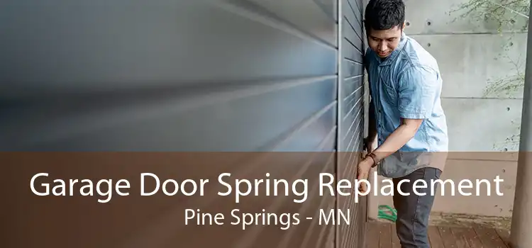 Garage Door Spring Replacement Pine Springs - MN