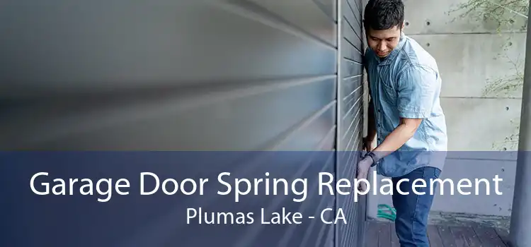 Garage Door Spring Replacement Plumas Lake - CA