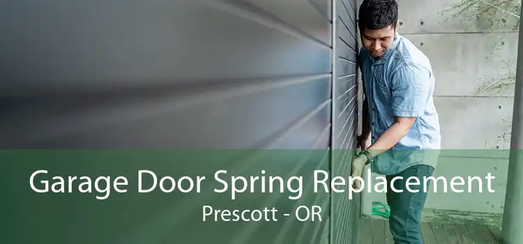 Garage Door Spring Replacement Prescott - OR