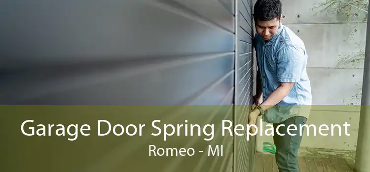 Garage Door Spring Replacement Romeo - MI