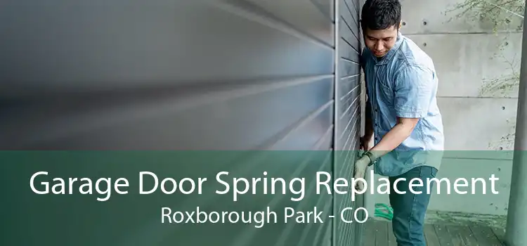 Garage Door Spring Replacement Roxborough Park - CO