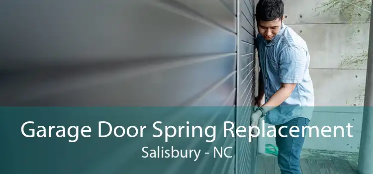 Garage Door Spring Replacement Salisbury - NC