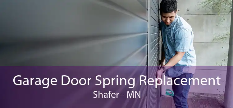 Garage Door Spring Replacement Shafer - MN
