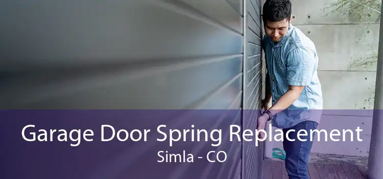 Garage Door Spring Replacement Simla - CO