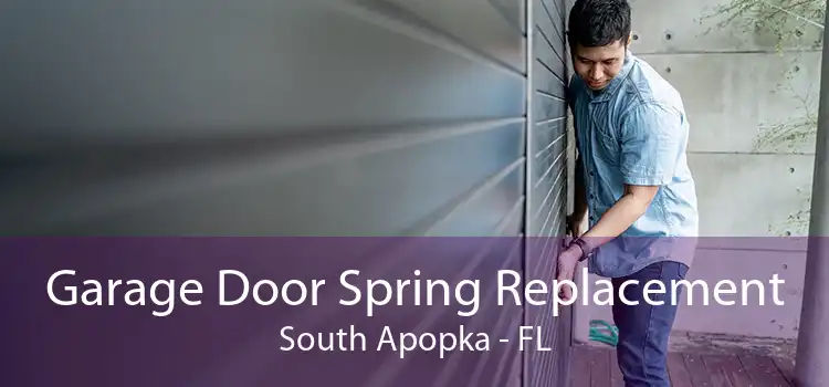 Garage Door Spring Replacement South Apopka - FL