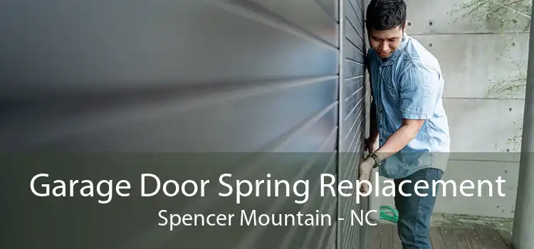 Garage Door Spring Replacement Spencer Mountain - NC
