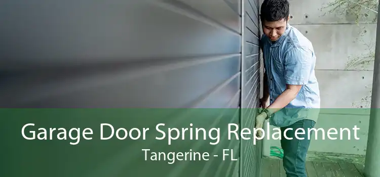 Garage Door Spring Replacement Tangerine - FL