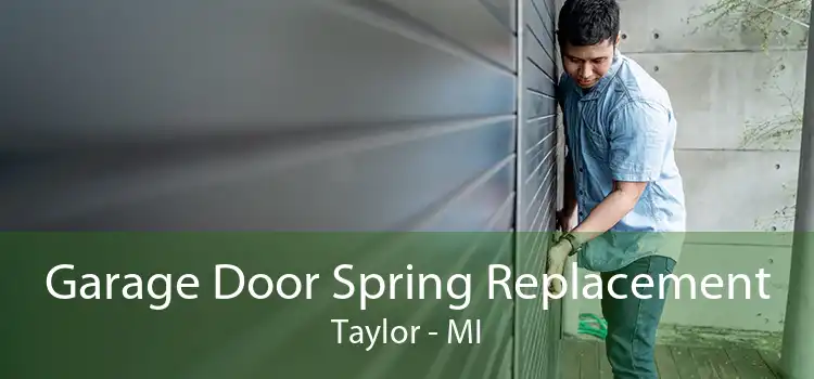Garage Door Spring Replacement Taylor - MI