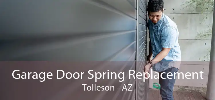 Garage Door Spring Replacement Tolleson - AZ
