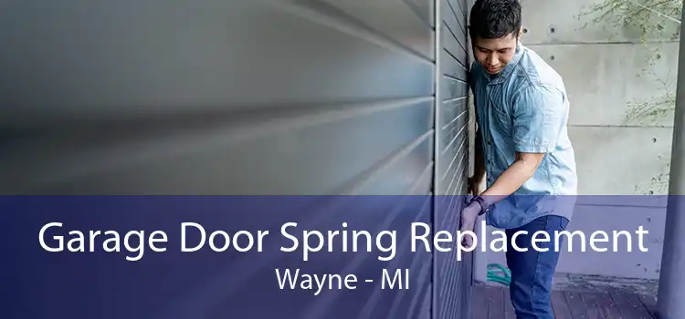 Garage Door Spring Replacement Wayne - MI