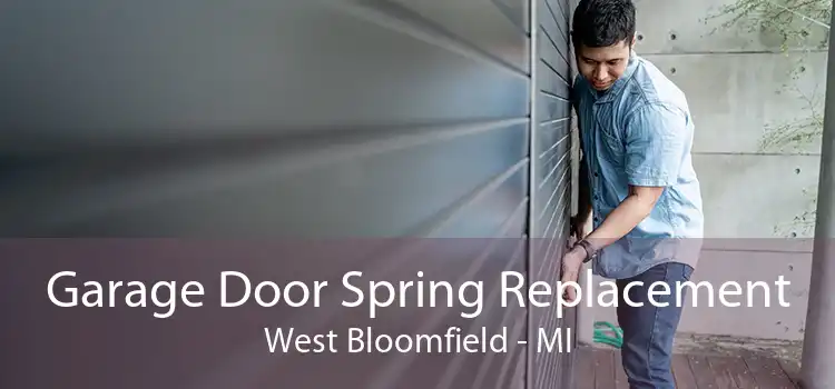 Garage Door Spring Replacement West Bloomfield - MI