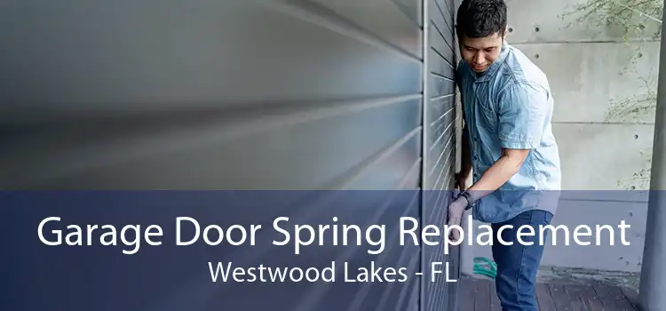 Garage Door Spring Replacement Westwood Lakes - FL