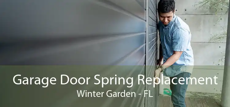Garage Door Spring Replacement Winter Garden - FL