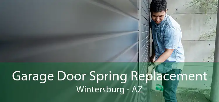 Garage Door Spring Replacement Wintersburg - AZ