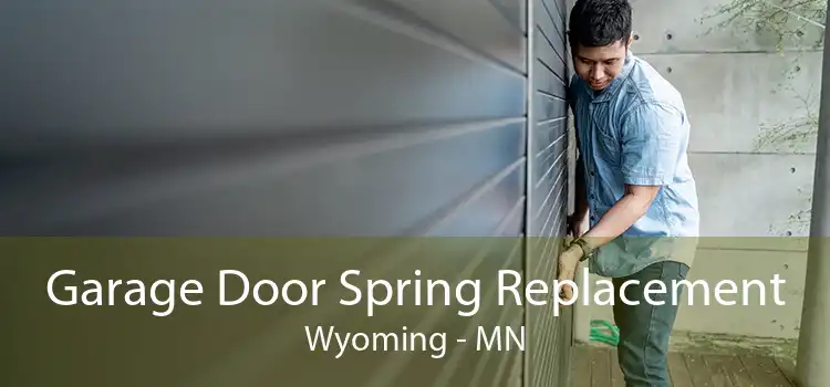 Garage Door Spring Replacement Wyoming - MN